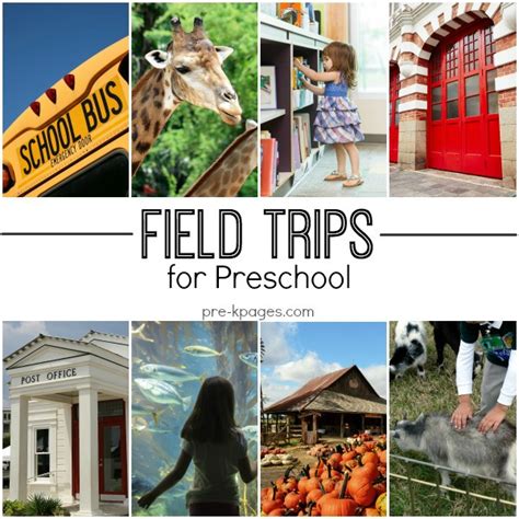 Field Trip Ideas for Preschool and Kindergarten