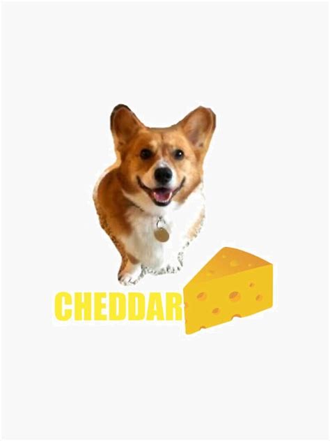 "Cheddar From Brooklyn 99" Sticker by Asinbg | Redbubble