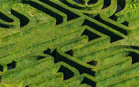 Hedge Maze Pictures | Download Free Images on Unsplash