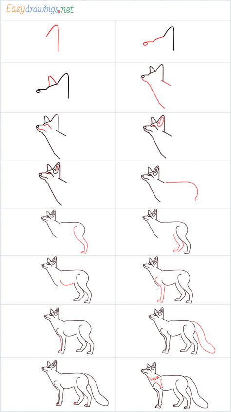 Easy Fox Drawings For Kids