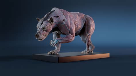 ArtStation - Digital 3D Grizzly bear anatomy Atlas for Artists | Resources