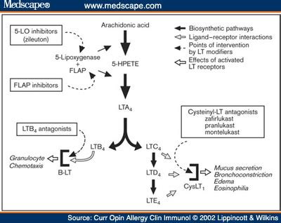 leukotriene receptor antagonists - pictures, photos