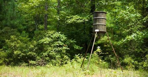 How Far Apart Should Deer Feeders Be? See Our Ultimate Guide