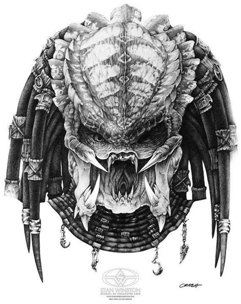 Predator Drawing, Pencil, Sketch, Colorful, Realistic Art Images ...