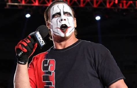 Sting Reveals His Original Intentions Working For Impact Wrestling