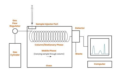 Gas Chromatography: How It Works and 5 Critical Components