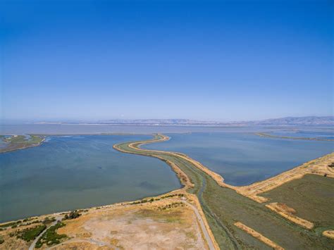 Naturetastic Blog: Shoreline Park - Mountain View, CA (Aerial ...