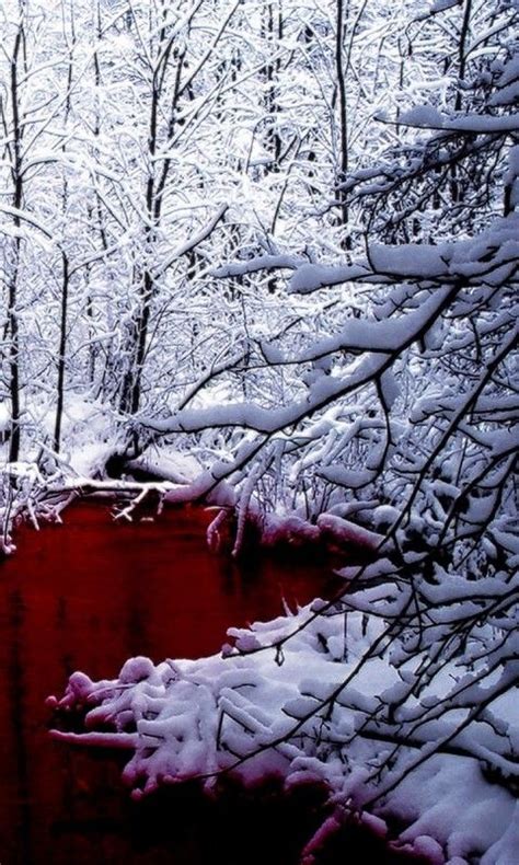 a red pond surrounded by snow covered trees