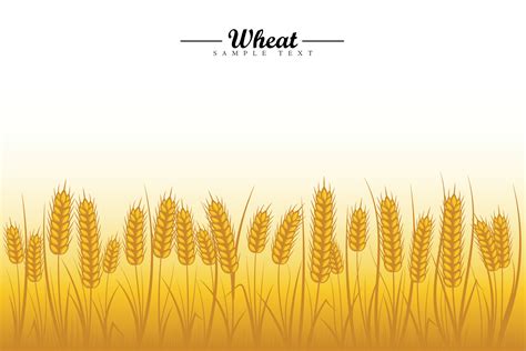 Wheat field background. Golden wheat ears of cereals with wheat tree ...