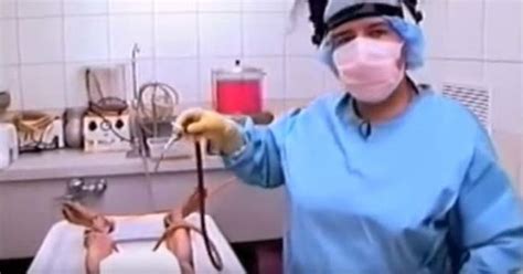 This Video Of The Embalming Process Is Equal Parts Disturbing And ...