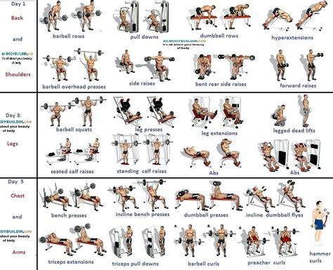 Gym Workout List Pdf Your Comprehensive Guide To Effective Workouts ...