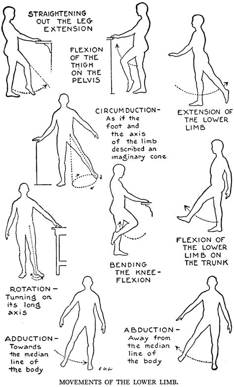 Range of motion exercises - crowdAslo