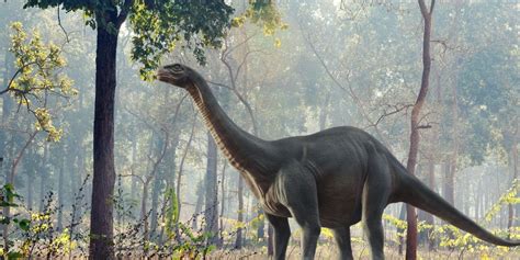 9 Beefy Facts About The Brontosaurus - The Fact Site