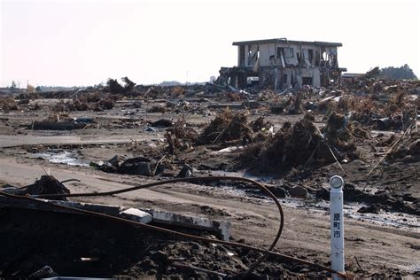 The Fukushima Accident's Legacy One Year Later | HuffPost