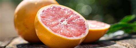 Florida Grapefruit | Access nutrition information, recipes, and Florida ...