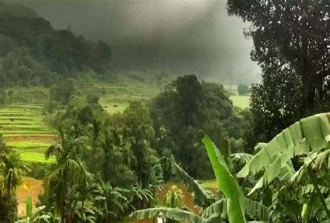 Travel Tips: Coorg hill station is very beautiful, you will get to see ...