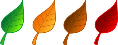 Set of Four Tree Leaves - Free Clip Art