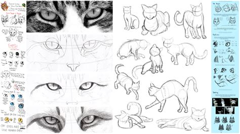 How To Draw A Cool Cartoon Cat