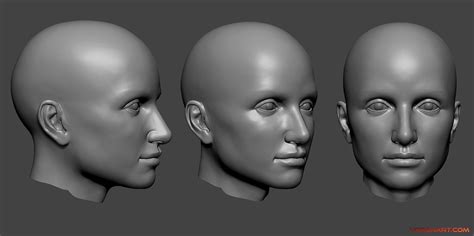 3D Heads Sculpting - Digital Sculpting by Voronart