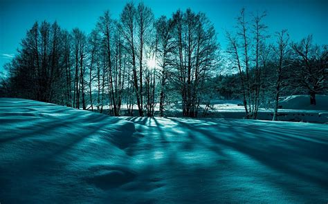 Landscape snow trees winter nature beauty wallpaper | 1920x1200 | 73638 ...