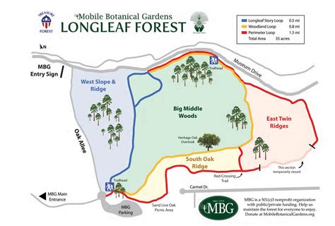 Longleaf Pine Treasure Forest - Mobile Botanical Gardens