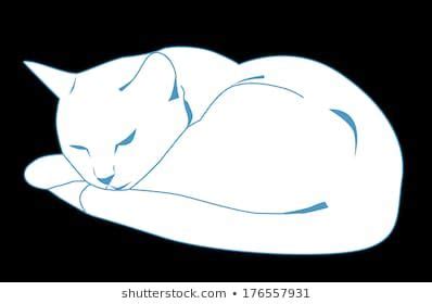 a white cat sleeping on top of a black floor with its head resting on ...