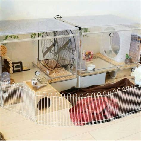 15+ DIY Guinea Pig Cage Inspiration That is Easy to Make on Your Own - NRB