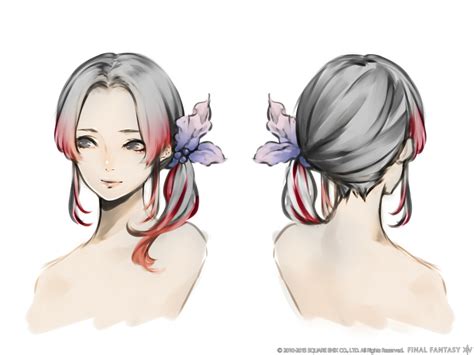 The probable Winners for the Hairstyle Design Contest – FFXIV100.com