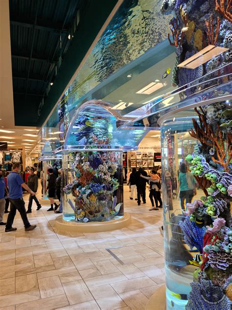 New 16k Gallon Scheels' tank in Colorado Springs | Reef2Reef