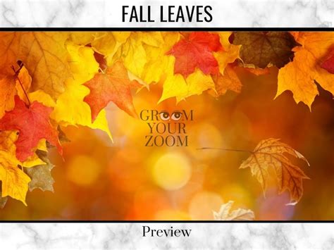 Fall Leaves Zoom Background 4 Virtual Backgrounds for Video | Etsy