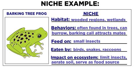 Niche (Ecology) — Definition & Examples - Expii