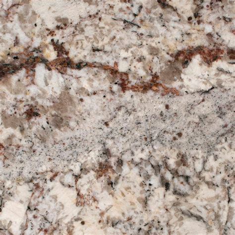 STONEMARK 3 in. x 3 in. Granite Countertop Sample in White Springs DT ...