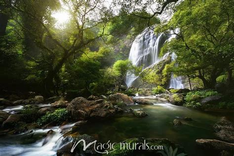 Mountain Forest Waterfall Wallpaper Mural by Magic Murals