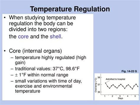 PPT - Temperature Regulation PowerPoint Presentation, free download ...