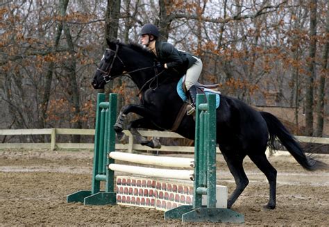 Black Horse Jumping at horse show by HorseStockPhotos on DeviantArt