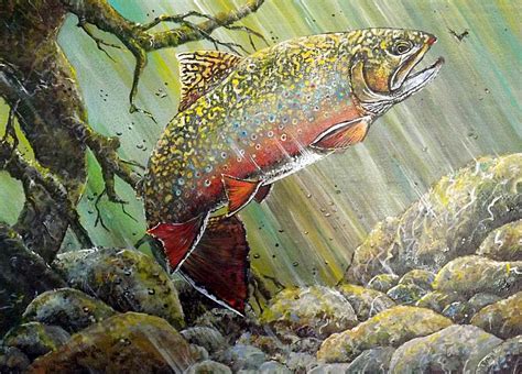 Brook Trout Painting by D Michael Meinders - Pixels