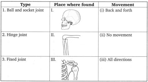 Worksheets Archives - Page 18 of 66 - WorkSheets Buddy