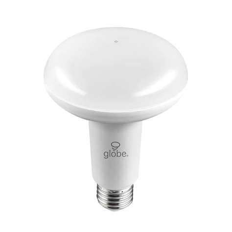 Globe Electric 65 Watt Equivalent BR30 Dusk to Dawn Outdoor Indoor LED ...