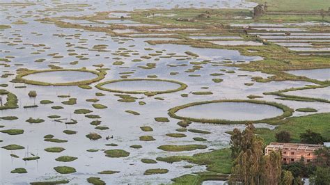 The world’s only floating national park - BBC Travel