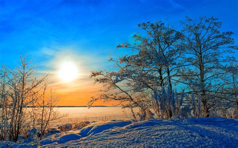 Winter, trees, snow, sunset, blue sky wallpaper | nature and landscape ...