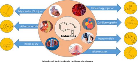 Indazole and its Derivatives in Cardiovascular Diseases: Overview ...