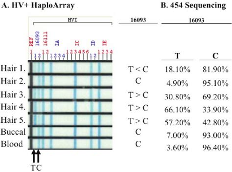 Comparison of methods for detection and quantification of heteroplasmy ...