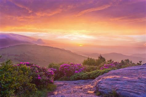 Summer in the Blue Ridge Mountains, NC | David Culp Photography