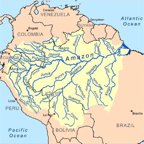 Indicators per territory and total indicators in the Amazon basin ...