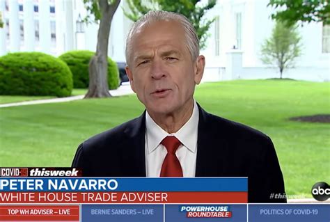 White House economic advisor trashes Dr. Fauci, pushes coronavirus ...