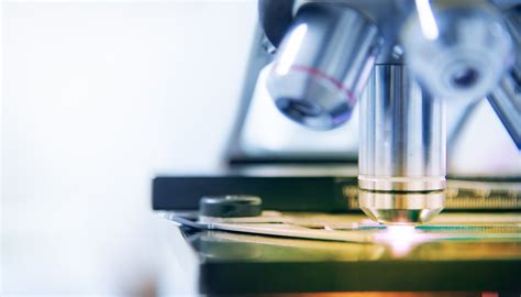 The Effect of Temperature on Cell Membranes | Sciencing