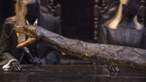 The South Asian Legend That Inspired Nagini In Harry Potter