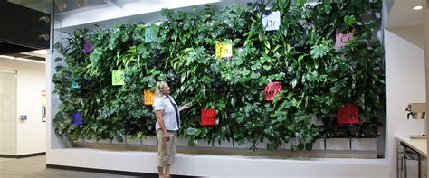 Indoor Green Wall System