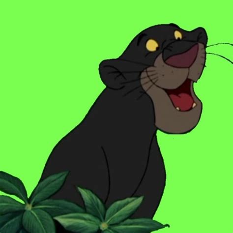 Bagheera Quotes - The Jungle Book (2016)