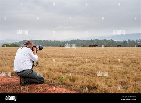 Man photographing a herd of animals in Mlilwane Wildlife Sanctuary in ...